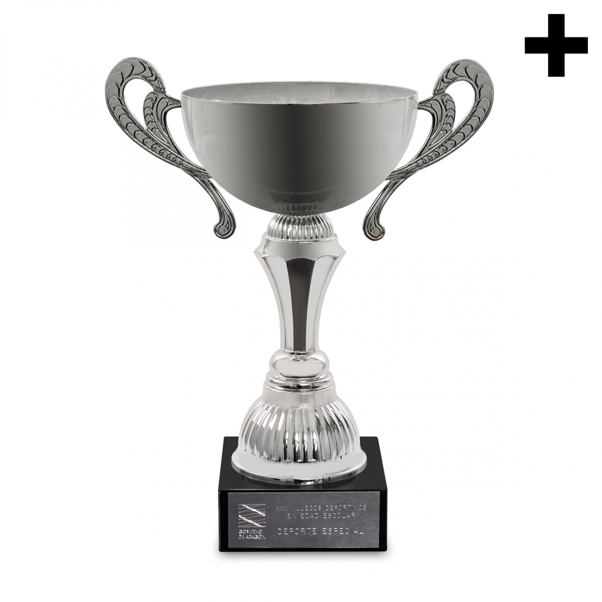 Imagen en la que se ve el plural del concepto trofeo