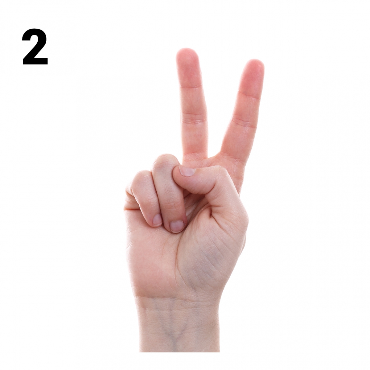 Imagen en la que se representa el número dos