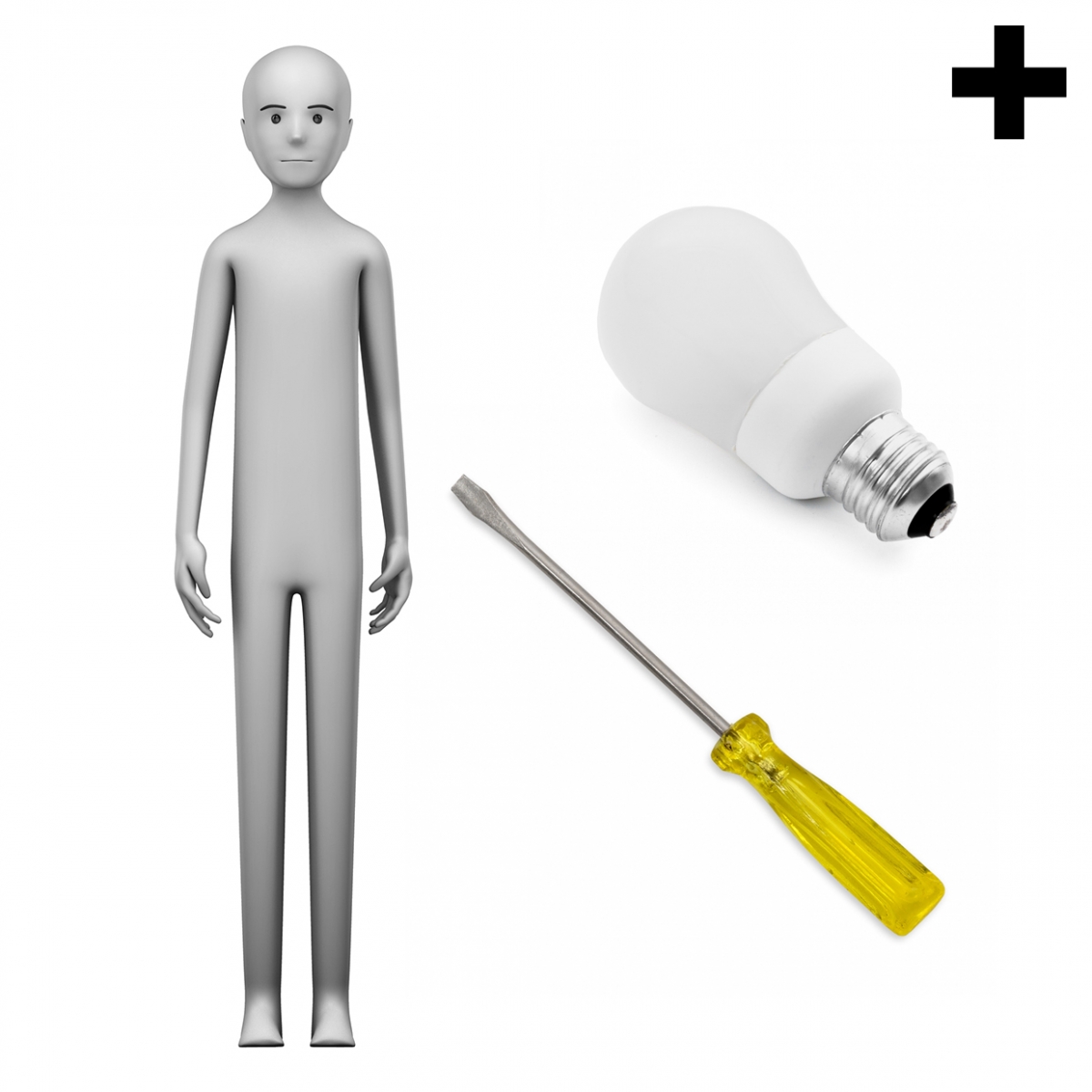 Imagen en la que se ve el plural del concepto electricista