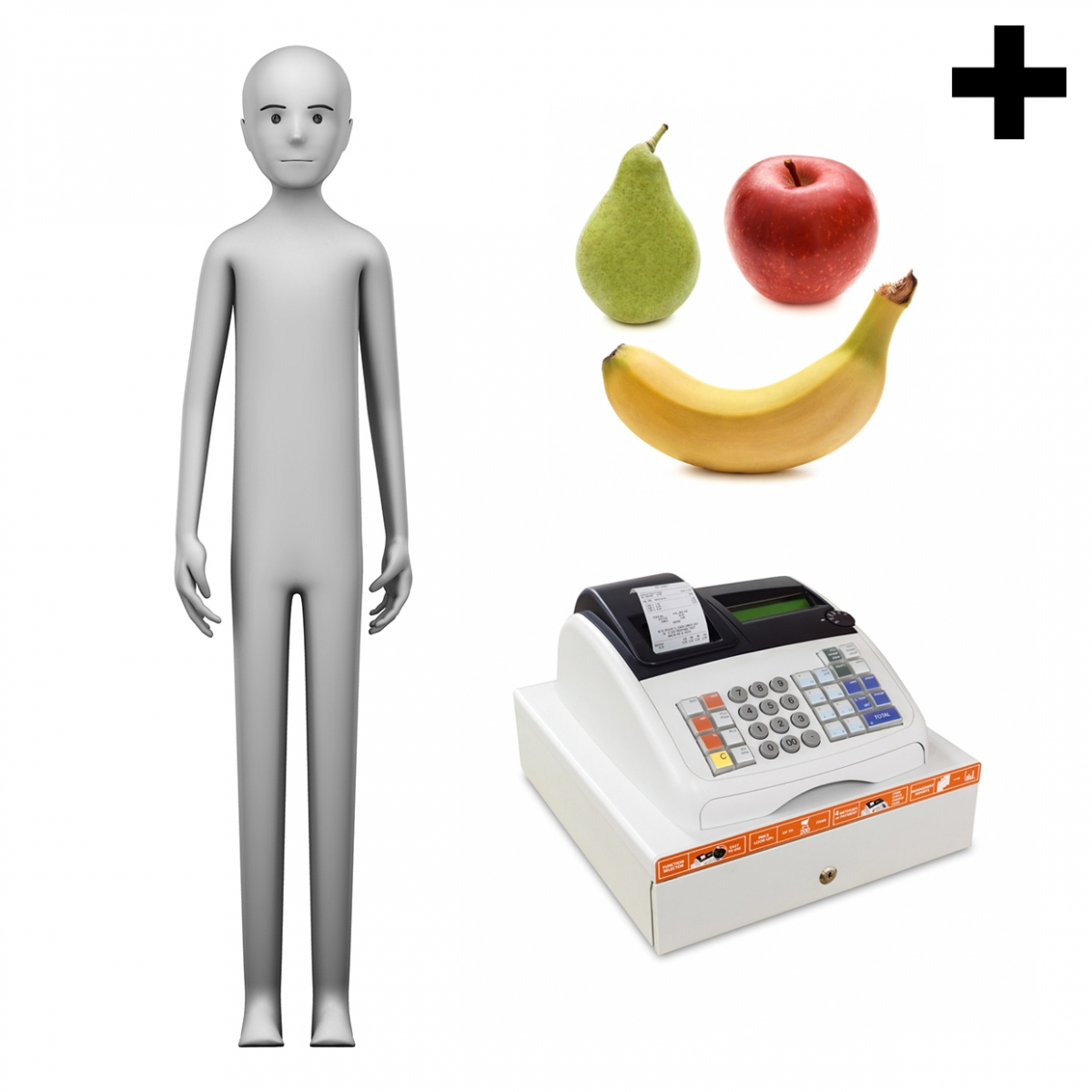 Imagen en la que se ve el plural del concepto frutero o frutera