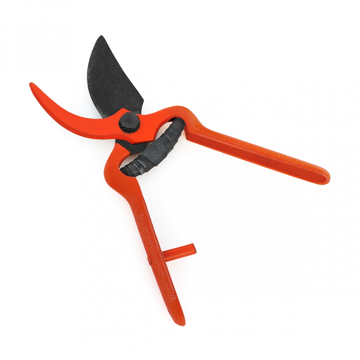 Imagen en la que se ven unas tijeras de podar