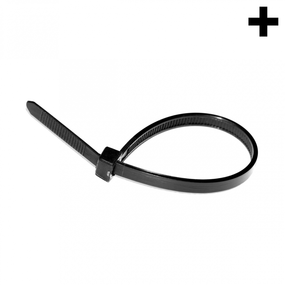 Imagen en la que se ve el plural del concepto brida