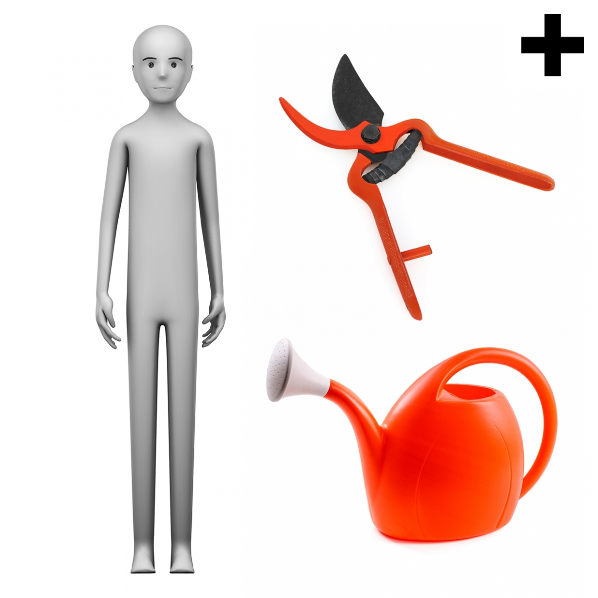 Imagen en la que se ve el plural del concepto jardinero o jardinera