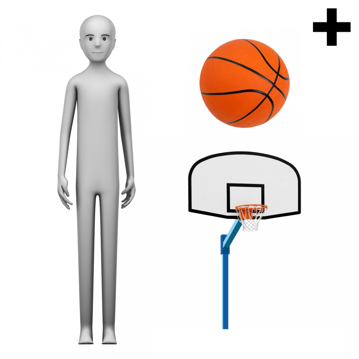 Imagen en la que se ve el plural del concepto jugador o jugadora de baloncesto