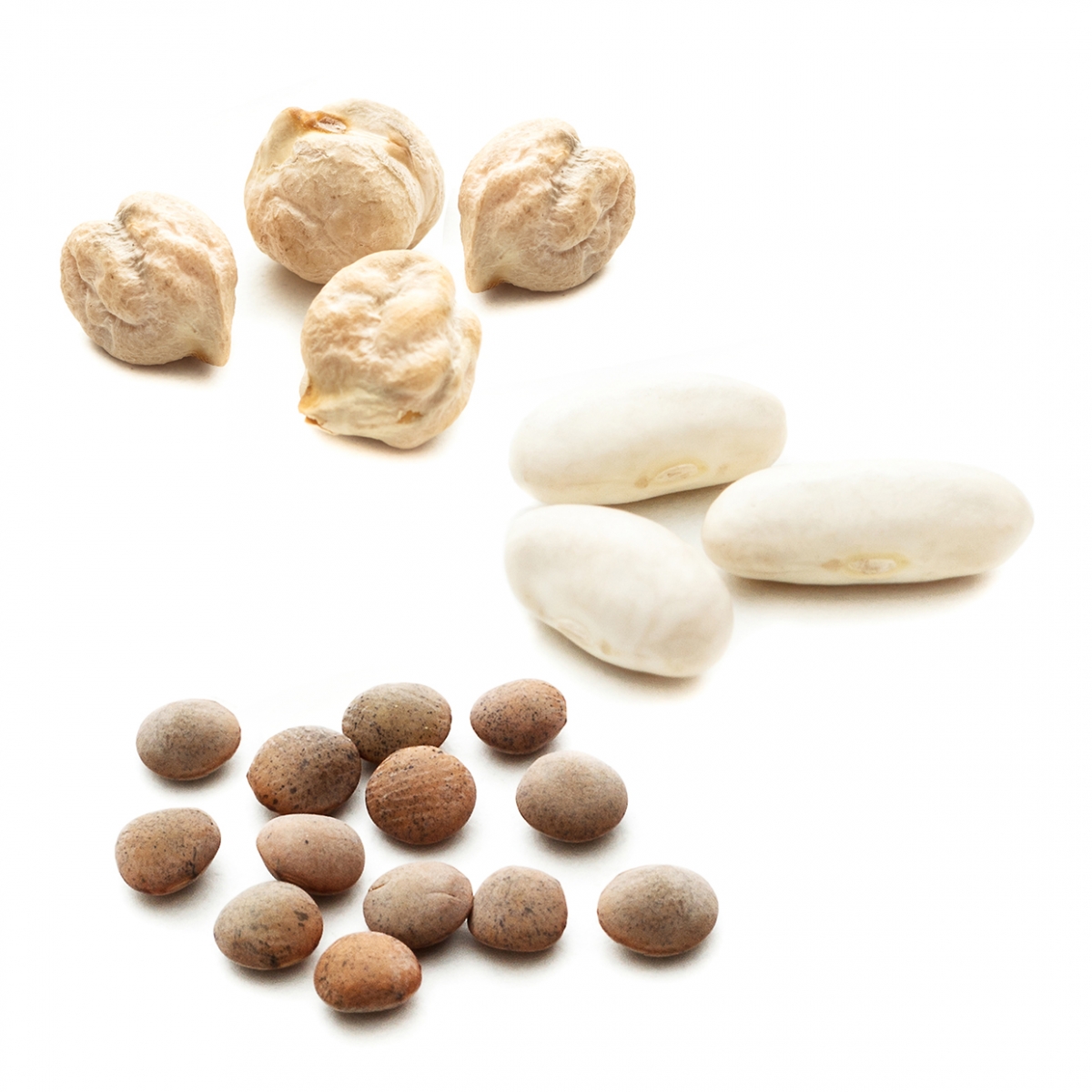 Imagen en la que se ven tres tipos diferentes de legumbres: garbanzos, judías y lentejas