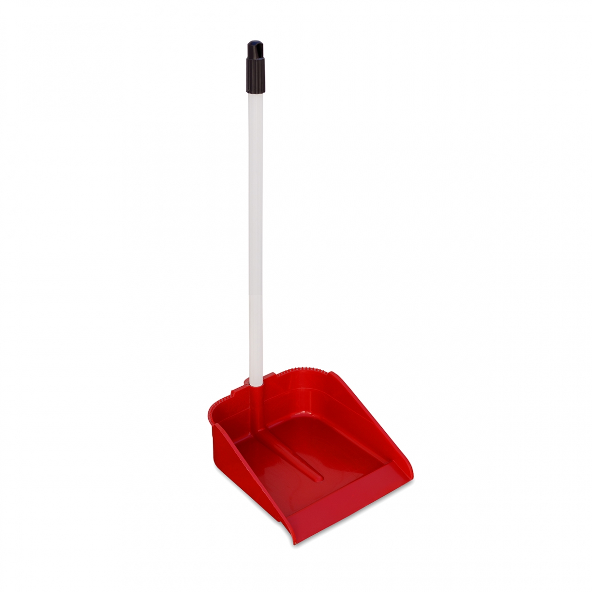 Imagen en la que se ve un recogedor