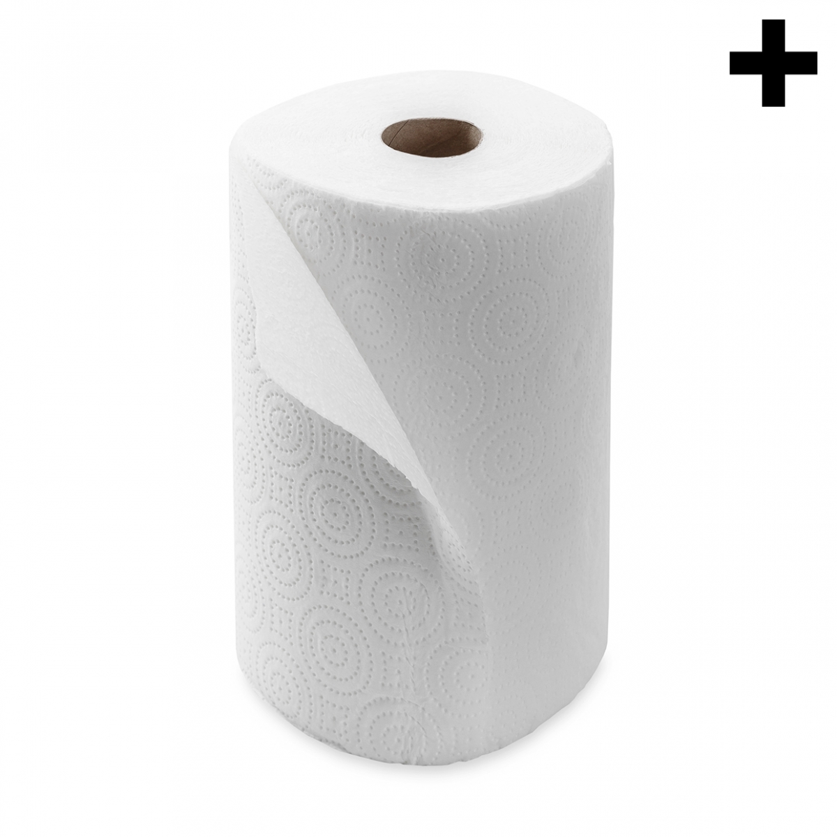 Imagen en la que se ve el plural del concepto papel de cocina