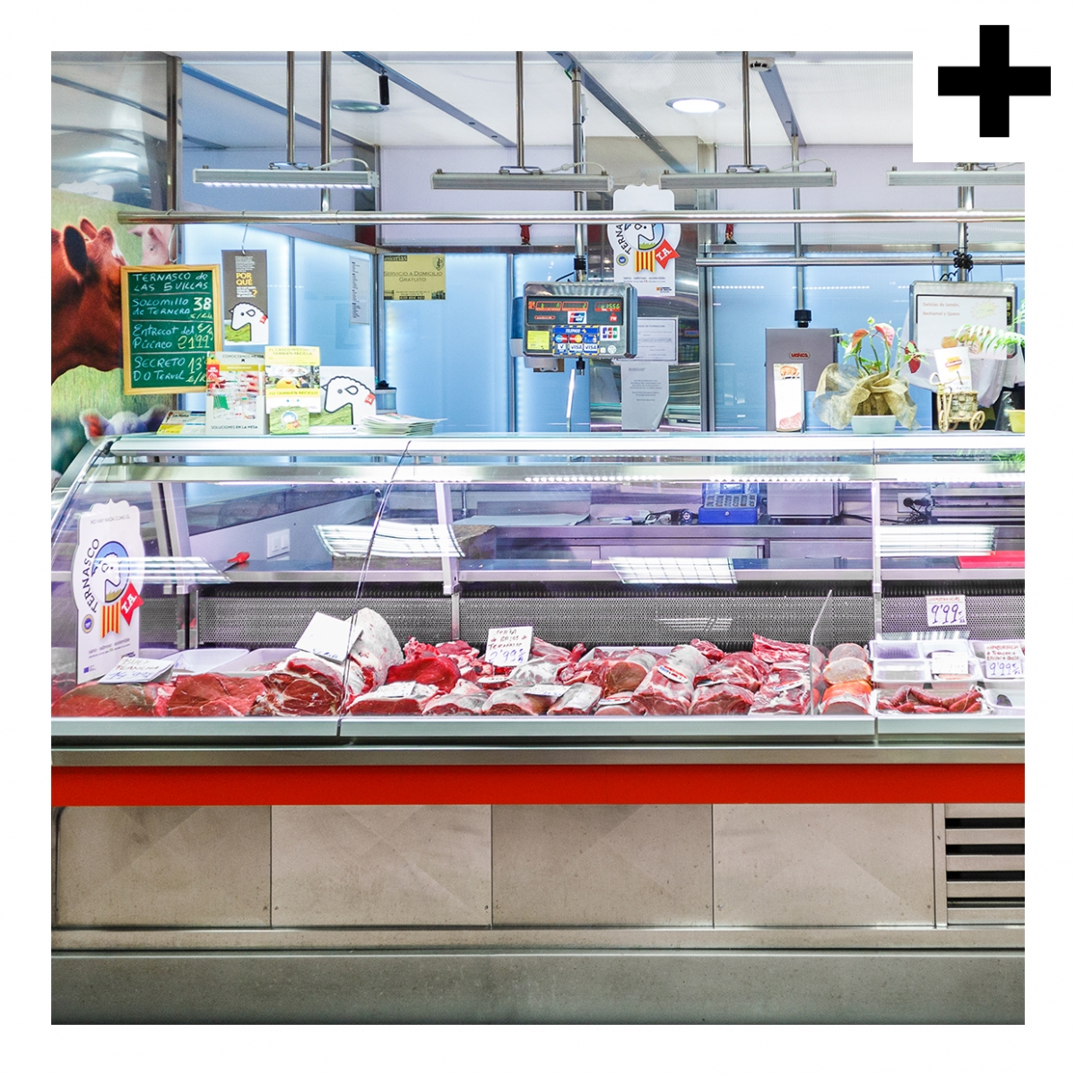 Imagen en la que se ve el plural del concepto carnicería