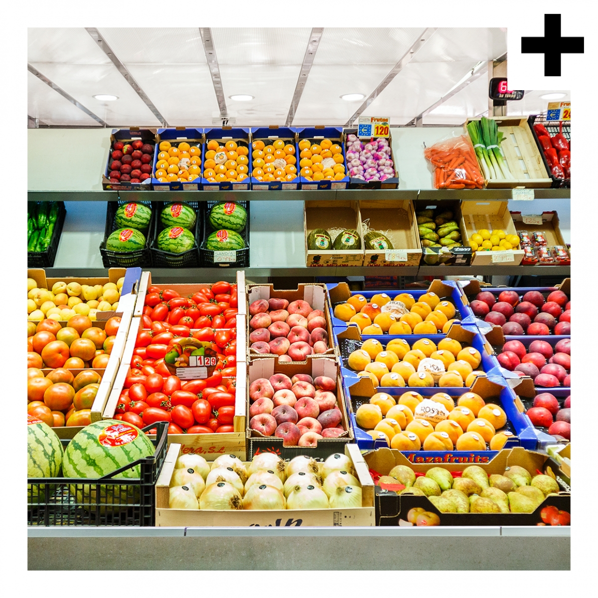 Imagen en la que se ve el plural del concepto frutería