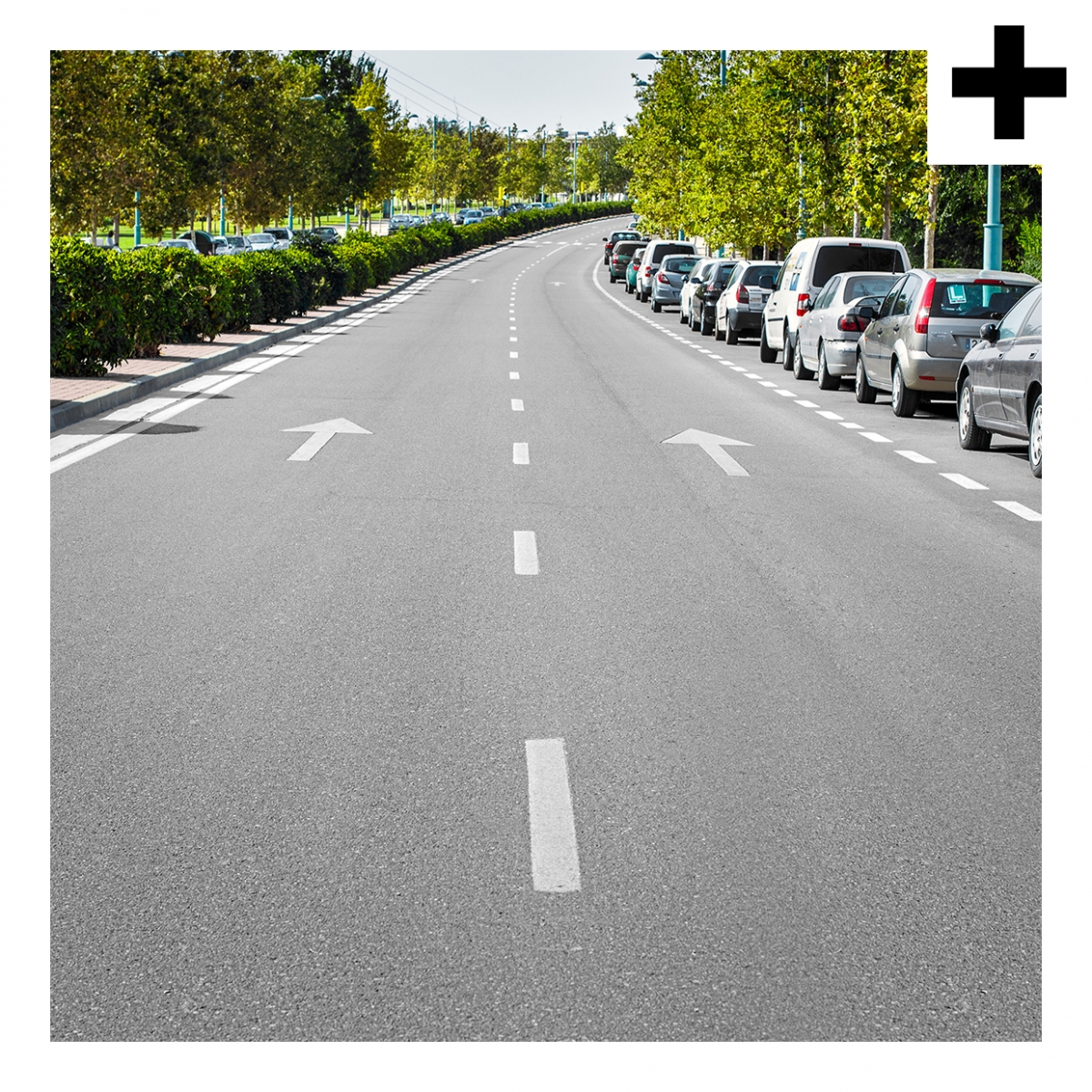 Imagen en la que se ve el plural del concepto calzada