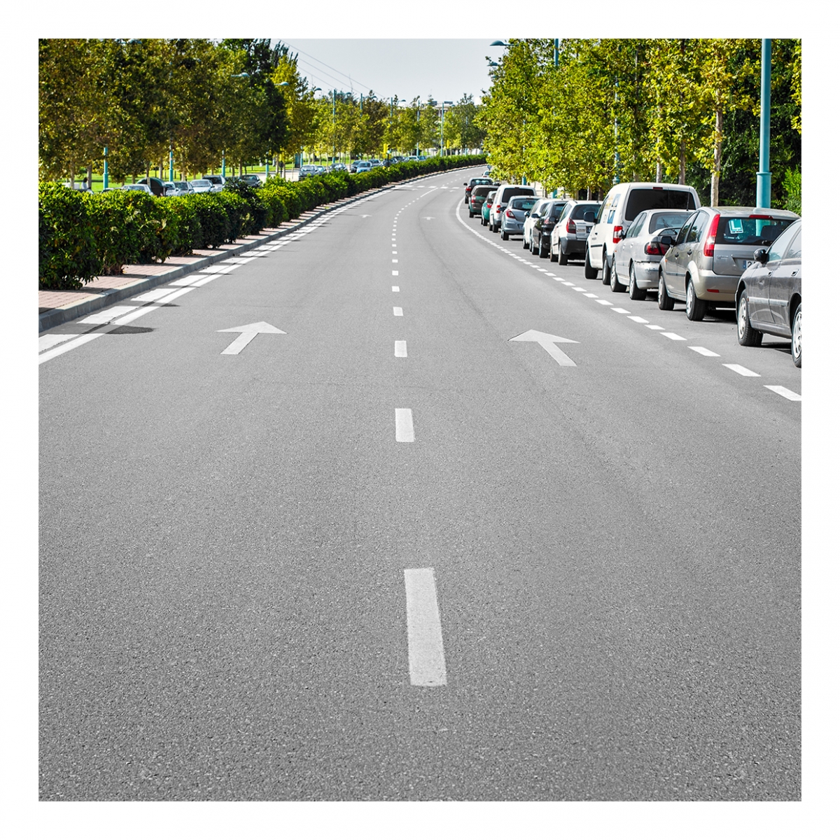 Imagen en la que se ve una calzada