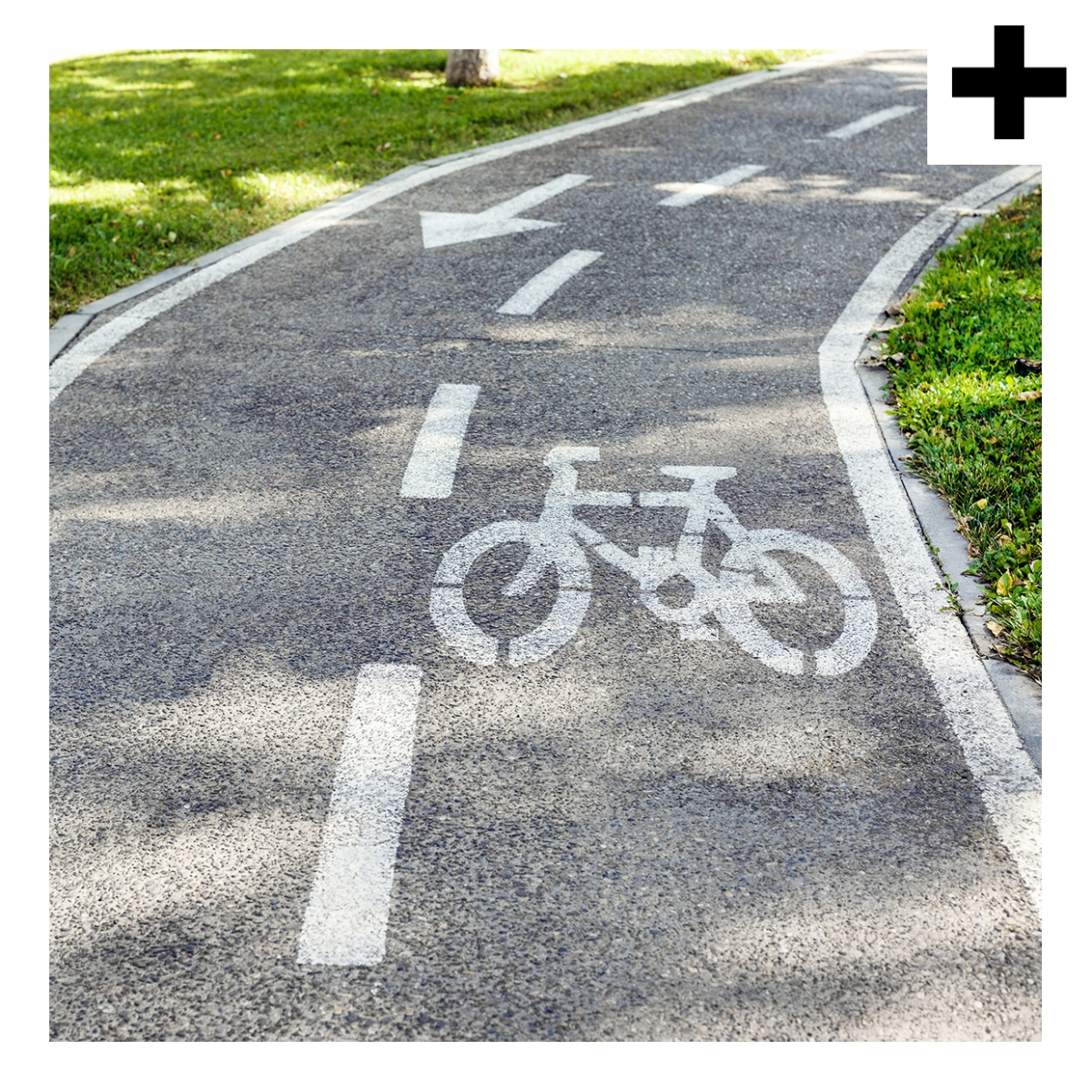 Imagen en la que se ve el plural del concepto carril bici