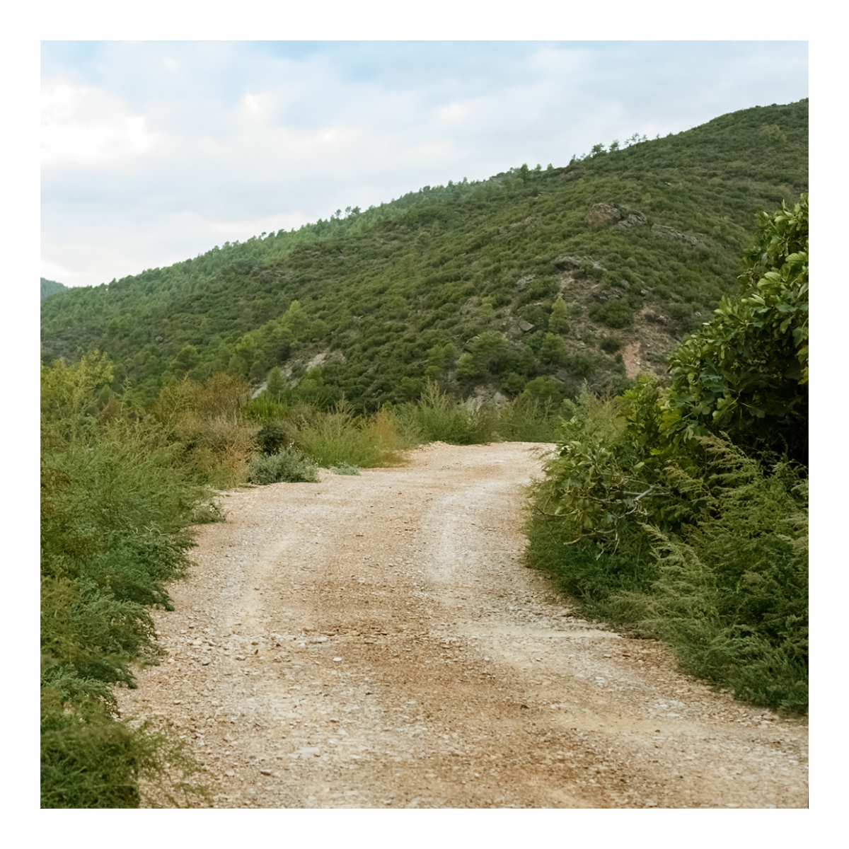 Imagen en la que se ve un camino