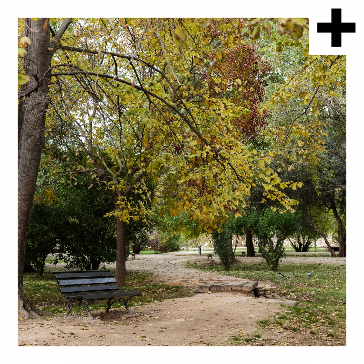 Imagen en la que se ve el plural del concepto parque