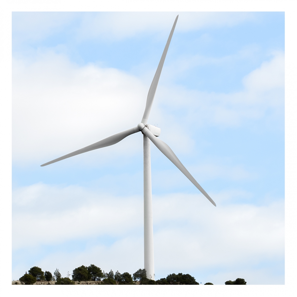 Imagen en la que se ve un molino de viento