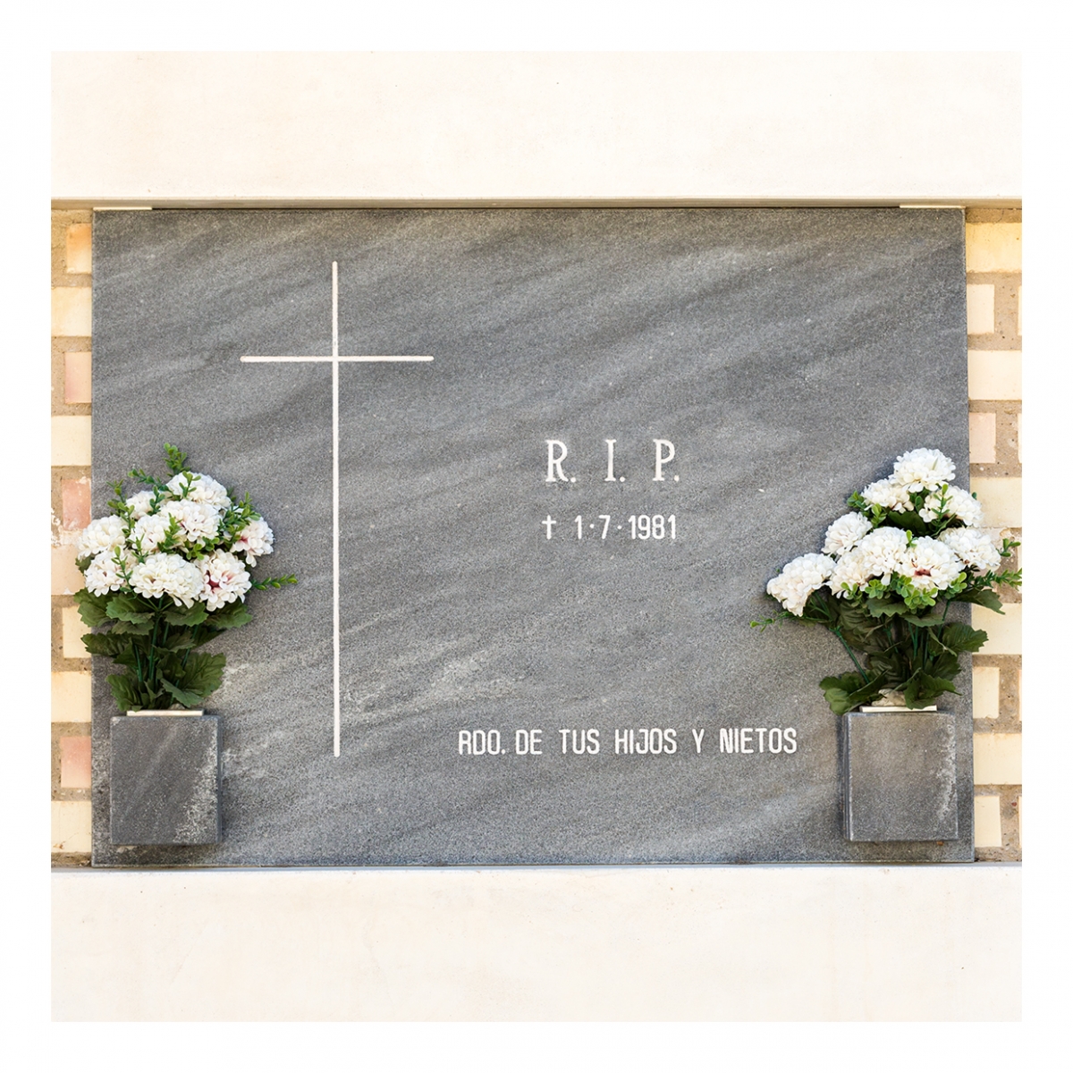 Imagen en la que se ve un nicho