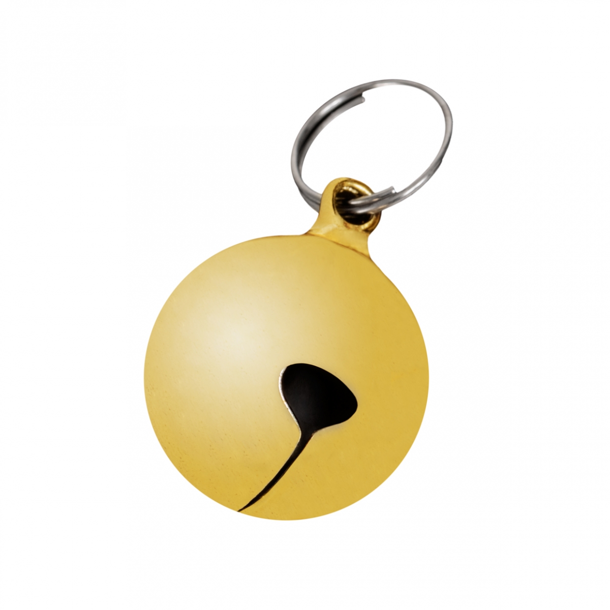 Imagen en la que se ve un cascabel