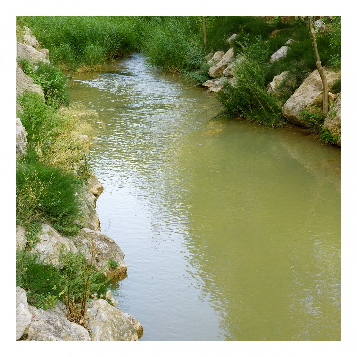 Imagen en la que se ve un río