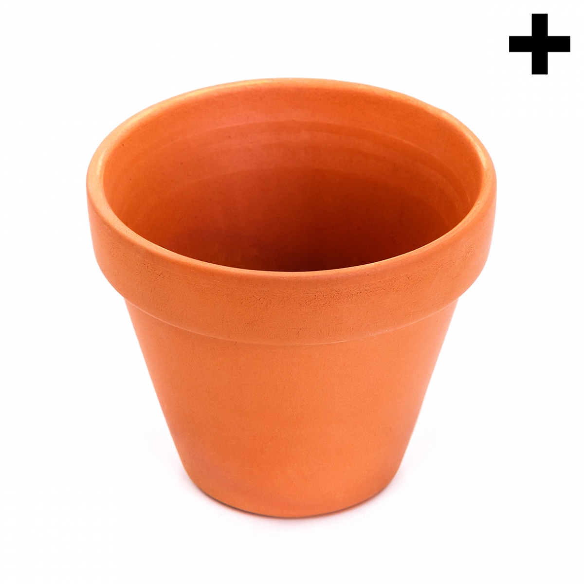 Imagen en la que se ve el plural del concepto maceta