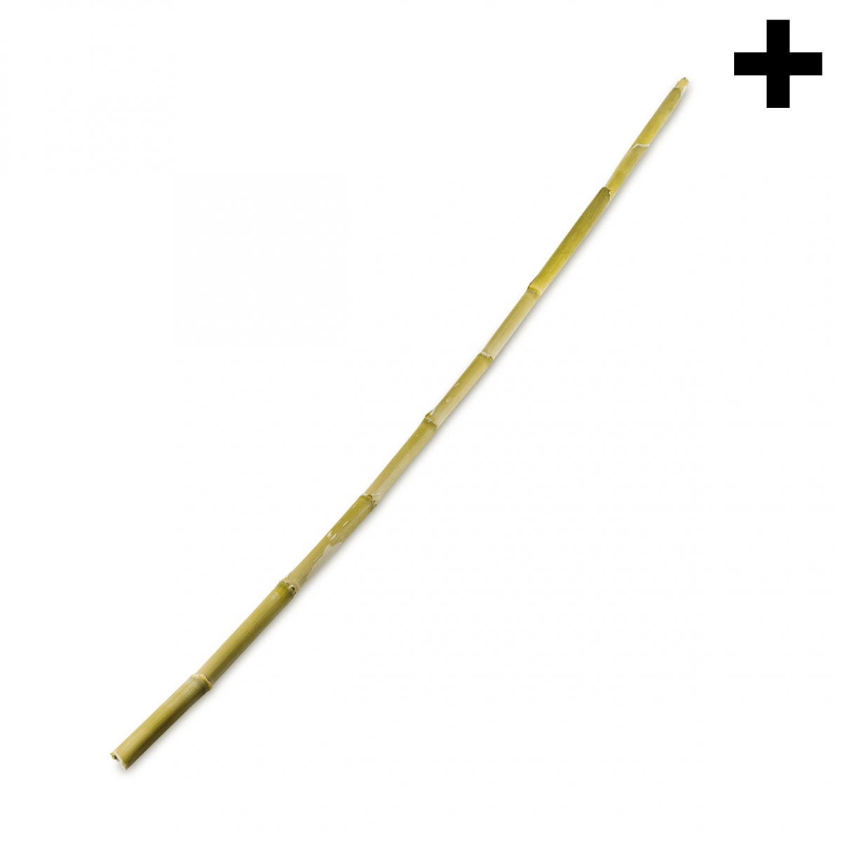 Imagen en la que se ve el plural del concepto caña