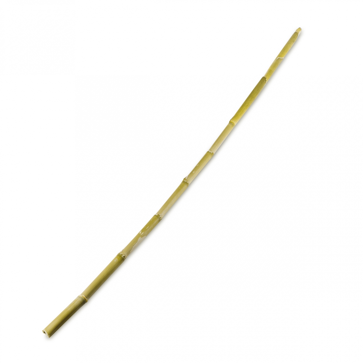 Imagen en la que se ve una caña de río