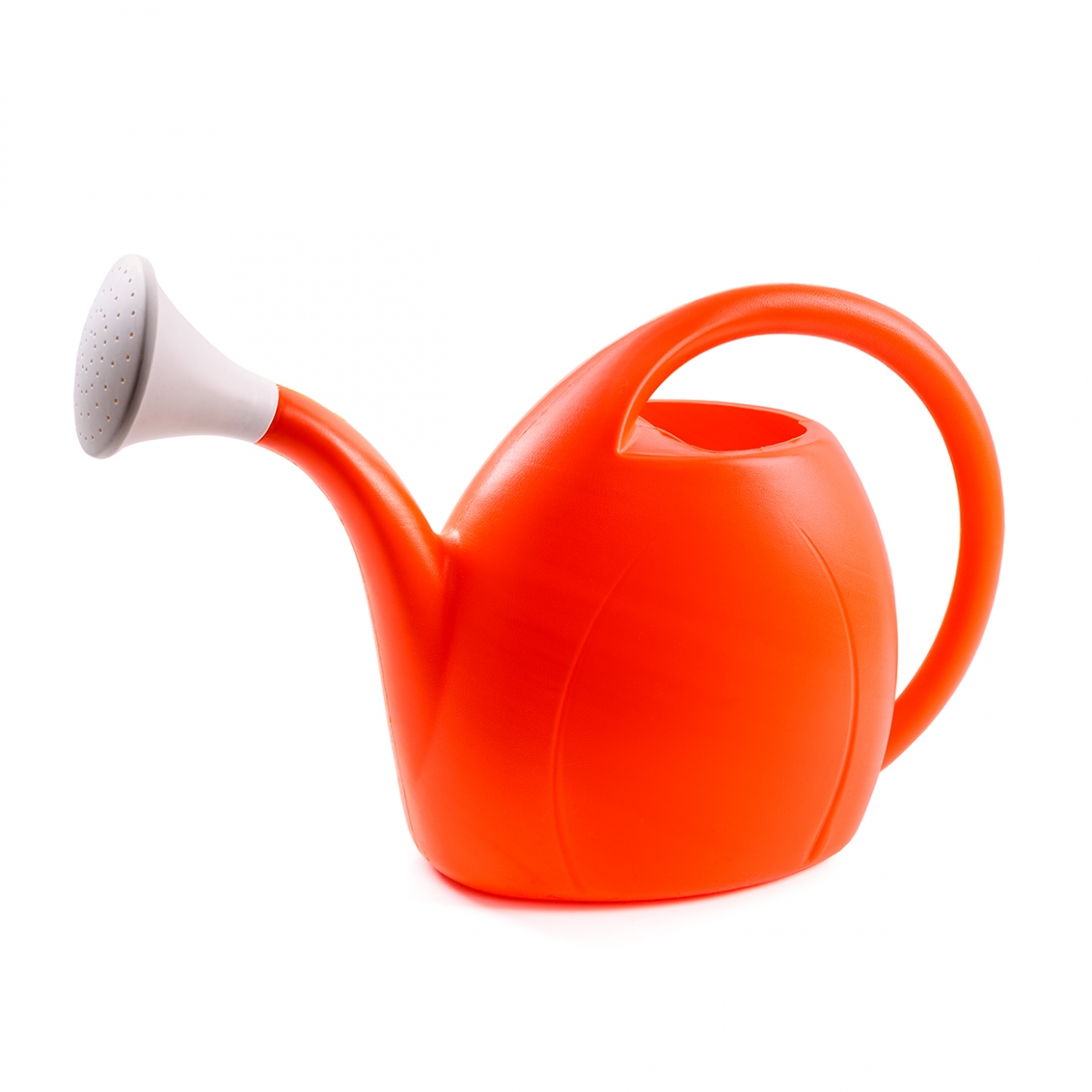 Imagen en la que se ve una regadera