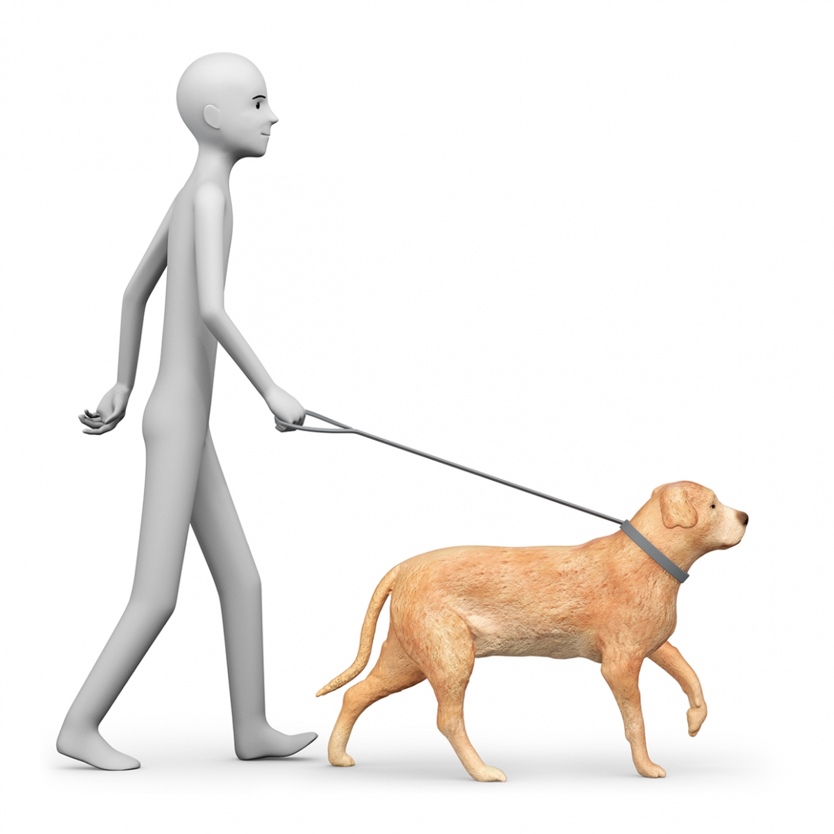 Una persona pasea al perro