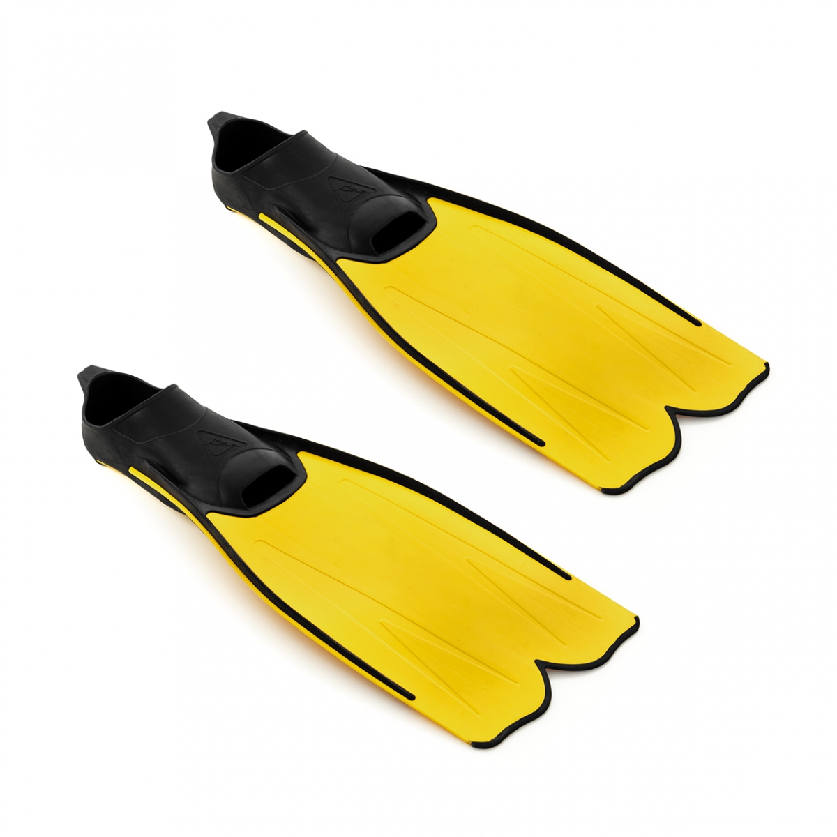 Imagen en la que se ven un par de aletas