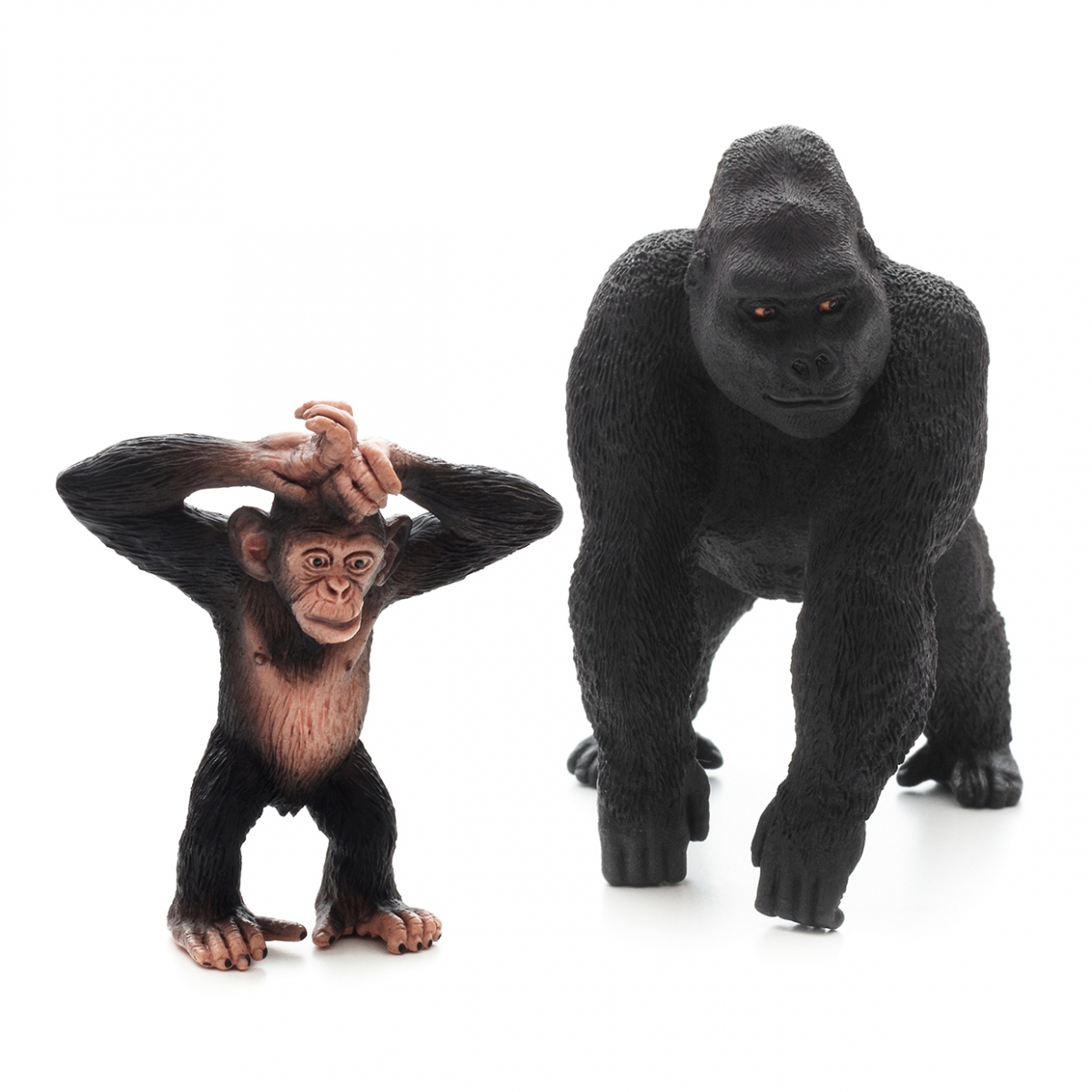 Imagen en la que se ven dos primates: un chimpancé y un gorila