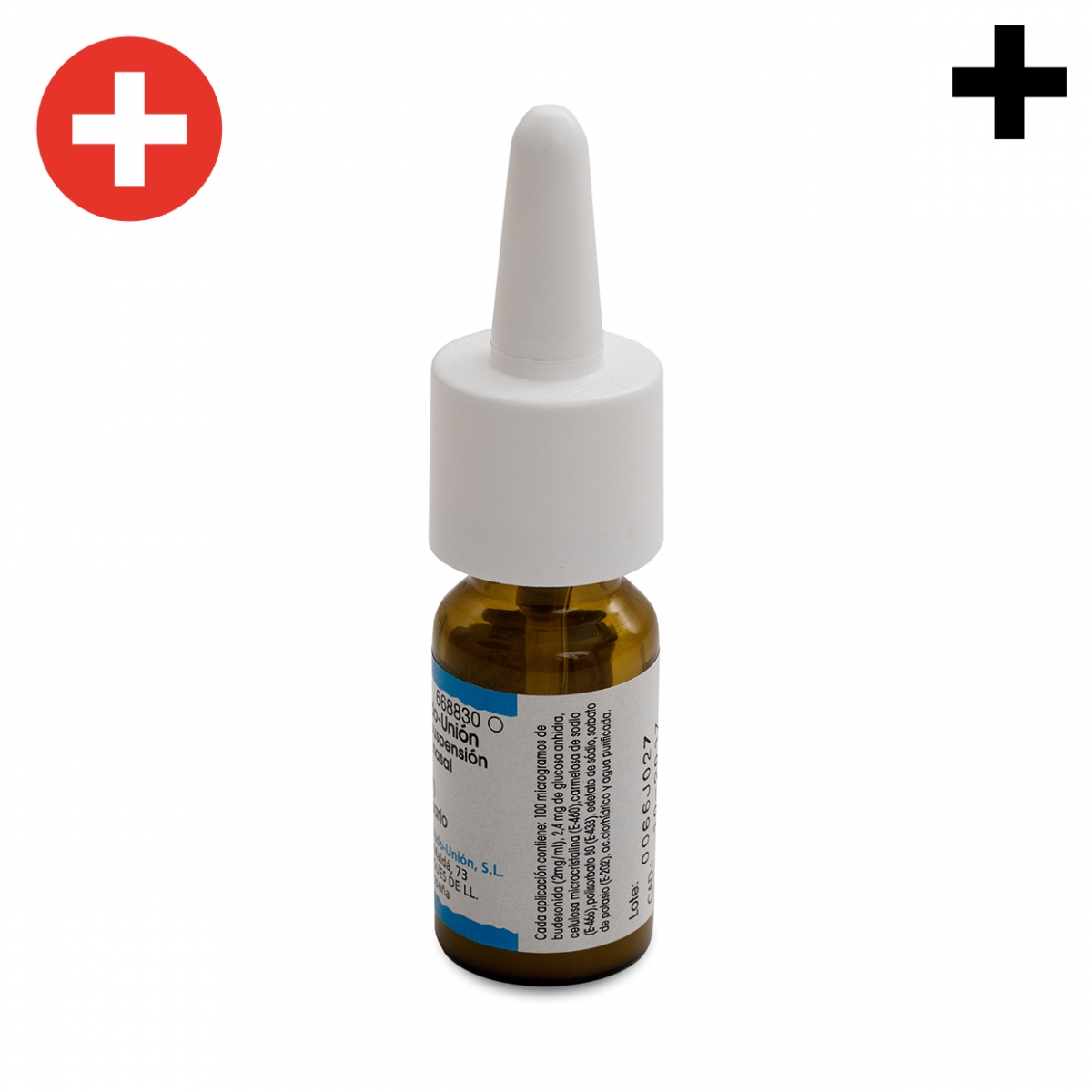 Imagen en la que se ve el plural del concepto nebulizador