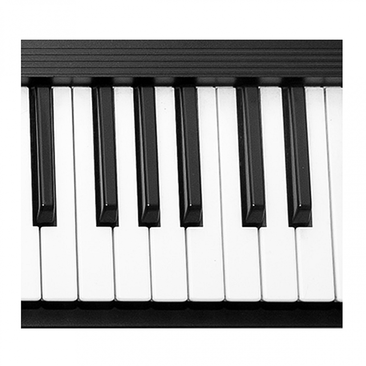 Imagen en la que se ven unas teclas de piano