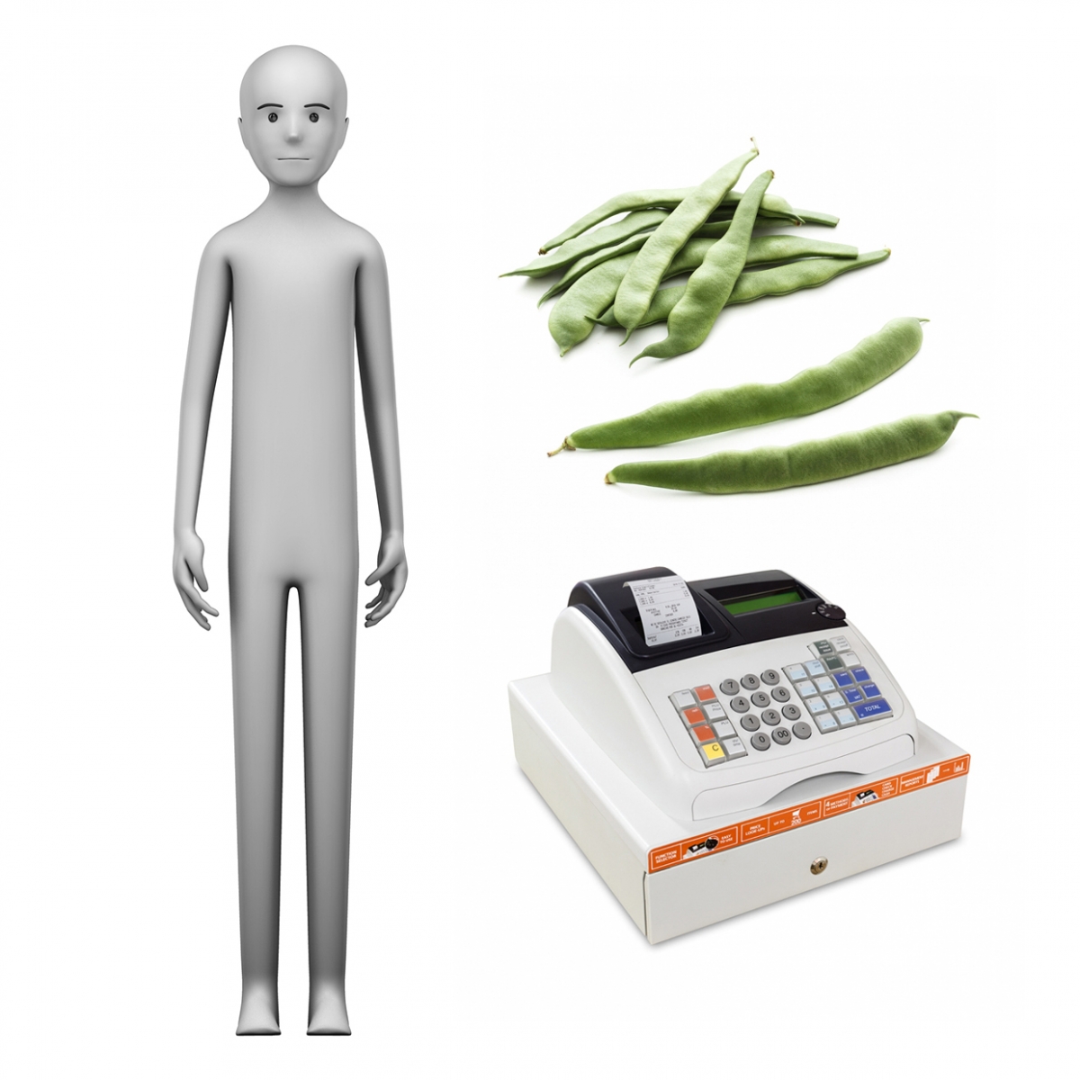 Imagen en la que se ve el concepto de verdulero o verdulera