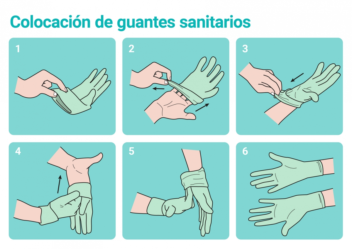 Instrucciones de colocación de guantes sanitarios
