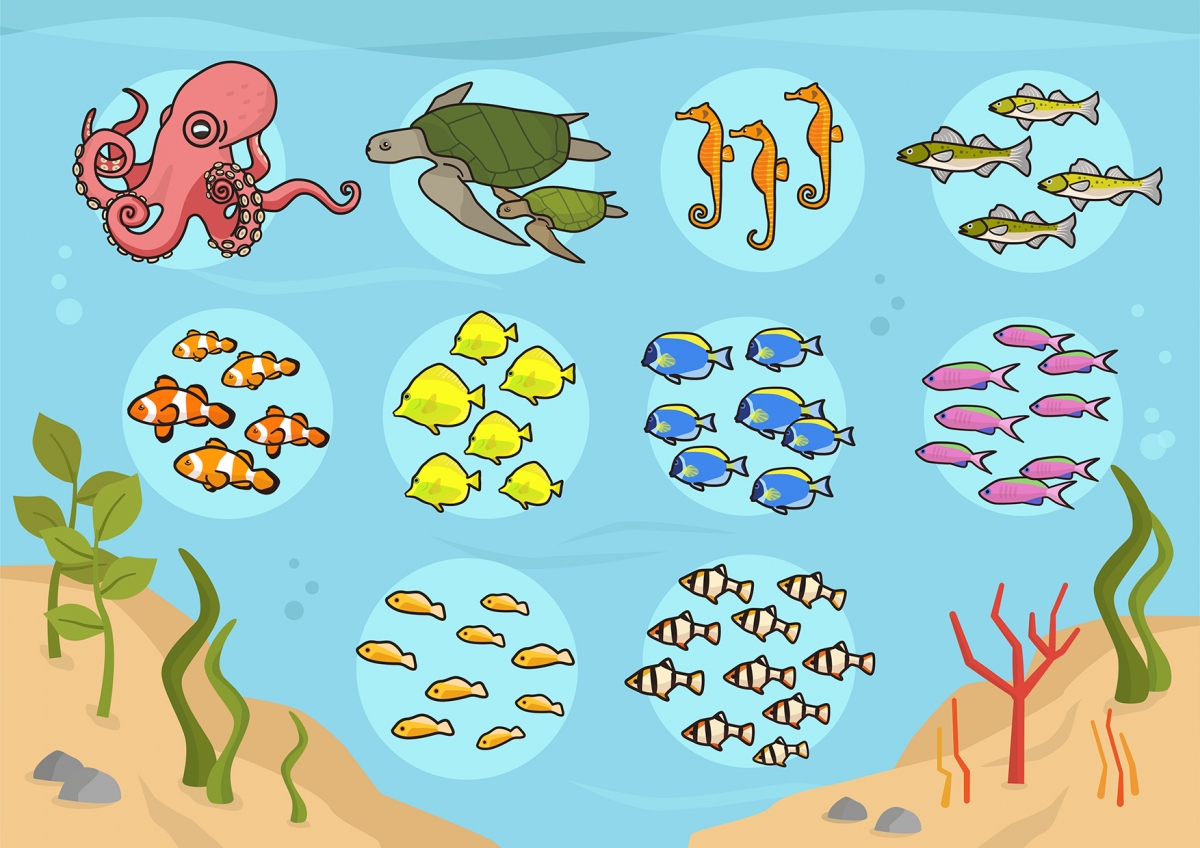 Imagen del fondo marino con diferentes agrupaciones de peces ordenados por números