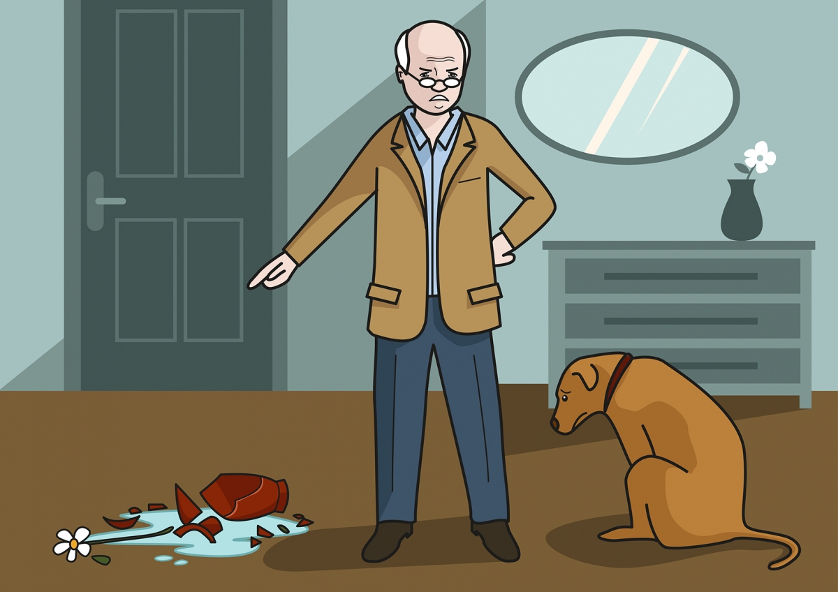 Escena en la que se ve al abuelo enfadado porque el perro ha roto un jarrón