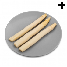 Imagen en la que se ve el plural del concepto espárragos blancos