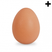 Imagen en la que se ve el plural del concepto huevo