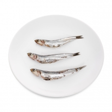 Imagen en la que se ve un plato de anchoas