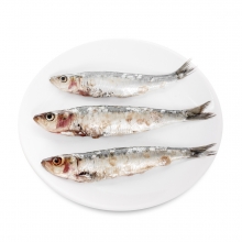 Imagen en la que se ve un plato con sardinas