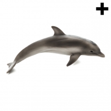 Imagen de un delfín de perfil