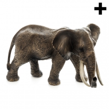 Imagen en la que se ve un elefante de perfil