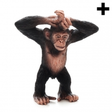 Imagen en la que se ve un chimpancé con los brazos levantandos y cruzados sobre la cabeza