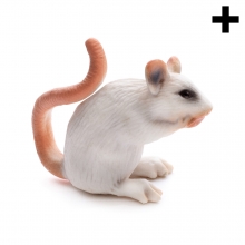 Imagen en la que se ve un ratón en perspectiva lateral