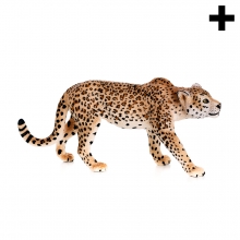 Imagen en la que se ve el plural del concepto leopardo