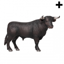 Imagen en la que se ve el plural del concepto toro