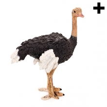 Imagen en la que se ve el plural del concepto avestruz