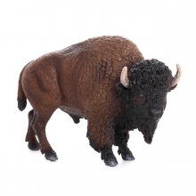 Imagen de un bisonte