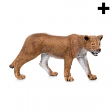 Imagen en la que se ve el plural del concepto leona