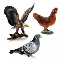 Imagen en la que se ven tres aves: un águila, una paloma y una gallina