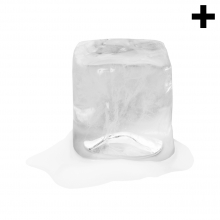 Imagen en la que se ve el plural del concepto cubito de hielo
